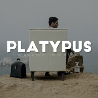 PLATYPUS logo - Similar company to Maison Bloom