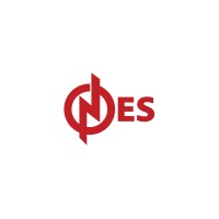 NES Electrical logo - Similar company to Dr Datatech21