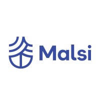 MALSI WORLD SL logo - Similar company to Kian-Solutions