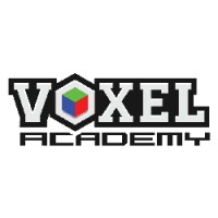 Voxel Academy logo - Similar company to Pixel Academy