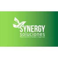 SYNERGY Soluciones logo - Similar company to Holding Indef