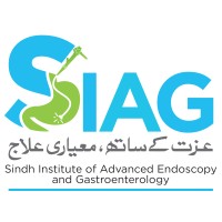 Sindh Institute of Advanced Endoscopy and Gastroenterology logo - Similar company to Digi Dive
