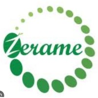 Zerame Infotech logo - Similar company to Zsys - Zuddhi Systems Pvt Ltd
