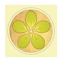 Moringa For Life logo - Similar company to Me Moringa For Life