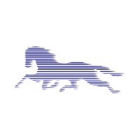 BLUE HORSE CORPORATION logo - Similar company to Leto Group