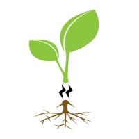 91 Roots logo - Similar company to Unrola