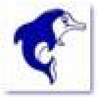 Dolphin Pools And Spas