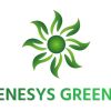 Genesysgreenx logo - Similar company to Blissberg