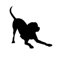Blackdog Design logo - Similar company to Space For Edit