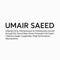 Umair Saeed logo - Similar company to Fluid Studios
