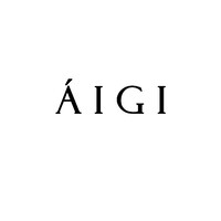 ÁIGI logo - Similar company to Nordic Marine Instruments