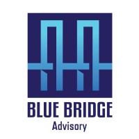 Blue Bridge Advisory logo - Similar company to Alooki