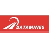 Datamines Infra Engineers PVT LTD logo - Similar company to Taskminions