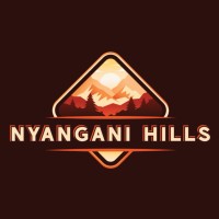 Nyangani Hills logo - Similar company to Hyp Analytica