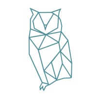 Design Owl Learning Solutions logo - Similar company to Shopmakers