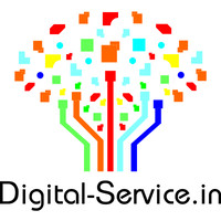 The Digital Services logo - Similar company to F1Gmat Admissions Consulting