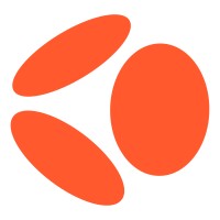 Wise logo - Similar company to Nova Iceland
