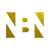 Nasser Bin Nawaf & Partners Holdings logo - Similar company to Go Water Solutions, Llc