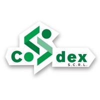 Codex logo - Similar company to Leap