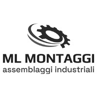 ML Srl logo - Similar company to Cable Assemblies Inc.