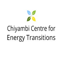 Chiyambi Integrated Energy Transitions Centre South Africa logo - Similar company to Ecotech Innovations Limited