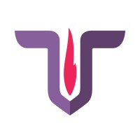 TiranaIT logo - Similar company to Rpay
