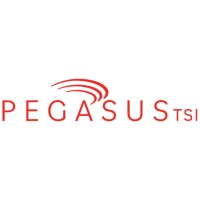 PegasusTSI Inc.