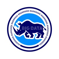Big Data Rhino logo - Similar company to Sidecar Recruiting