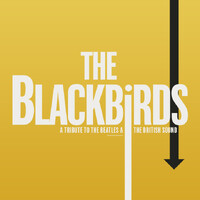 The Blackbirds Officiel logo - Similar company to Hds Studios