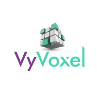VyVoxel logo - Similar company to Irex Studio