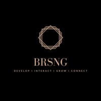 BRS Networking Group logo - Similar company to Bermancre