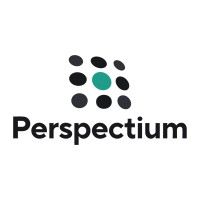 Perspectium logo - Similar company to Bittitan