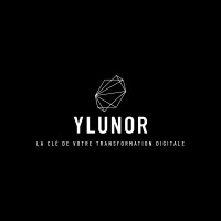 YLUNOR logo - Similar company to Omniops