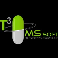 T3mssoft logo - Similar company to Negocio Capsula