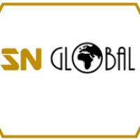 SN Global Pvt. Ltd. logo - Similar company to Sn Global-Study Abroad