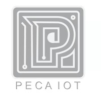 Peca IoT logo - Similar company to Nexus Iot