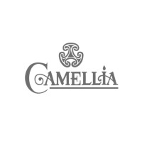 Camellia Institute of Engineering and Technology. logo - Similar company to Apj Systems
