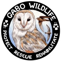Gabo Wildlife logo - Similar company to Biological Illustrations