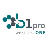 B1pro logo - Similar company to Corpotek