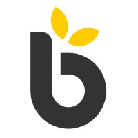 Bright Tax Limited logo - Similar company to Bright!Tax