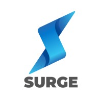 Surge logo - Similar company to Kbtek Inc.