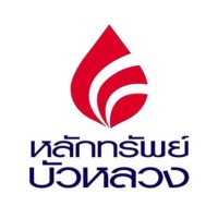 Bualuang Securities logo - Similar company to Pi Securities Public Company Limited
