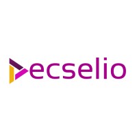 Ecselio logo - Similar company to Ibandwidth