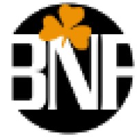 BNF-Bright New Future Pvt Ltd logo - Similar company to Iron Star Ventures