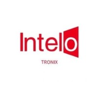Intelotronix logo - Similar company to Maxicon Solutions