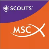 Scouts MSC (Catholic Scout Movement) Spain logo - Similar company to Gestimedica