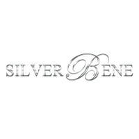 Guangzhou Shibao Jewelry Co., Ltd. logo - Similar company to Silver-Hub Limited