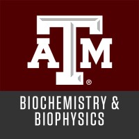 Texas A&M Department of Biochemistry and Biophysics logo - Similar company to Genetics And Genomics Interdisciplinary Graduate Program