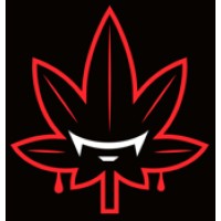 VHelsing Project, Process, and Equipment logo - Similar company to Evocan