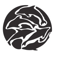olive surf logo - Similar company to Olive Surf